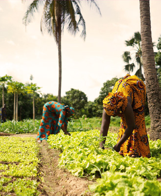 Agriculture & Food Security