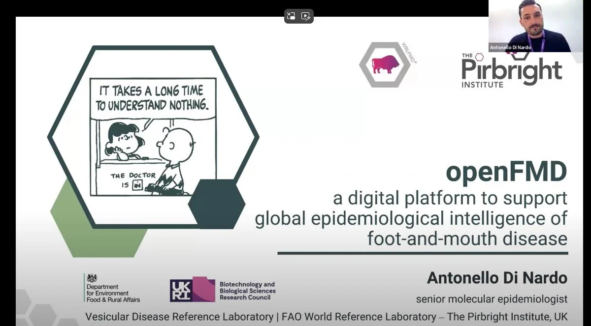 Webinar Di Nardo