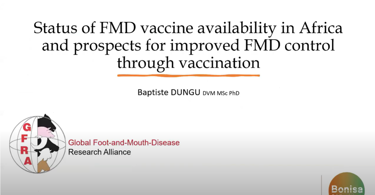 Webinar Dunghu